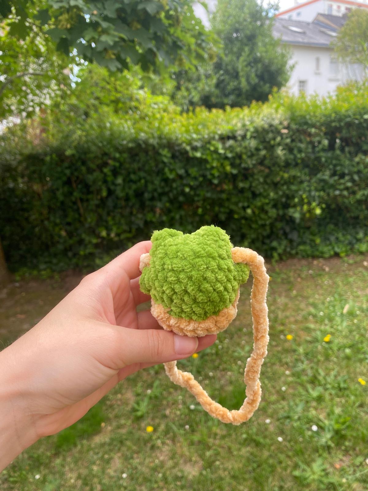 Décoration de rétroviseur grenouille 🐸