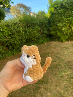 Mini chats 🐈