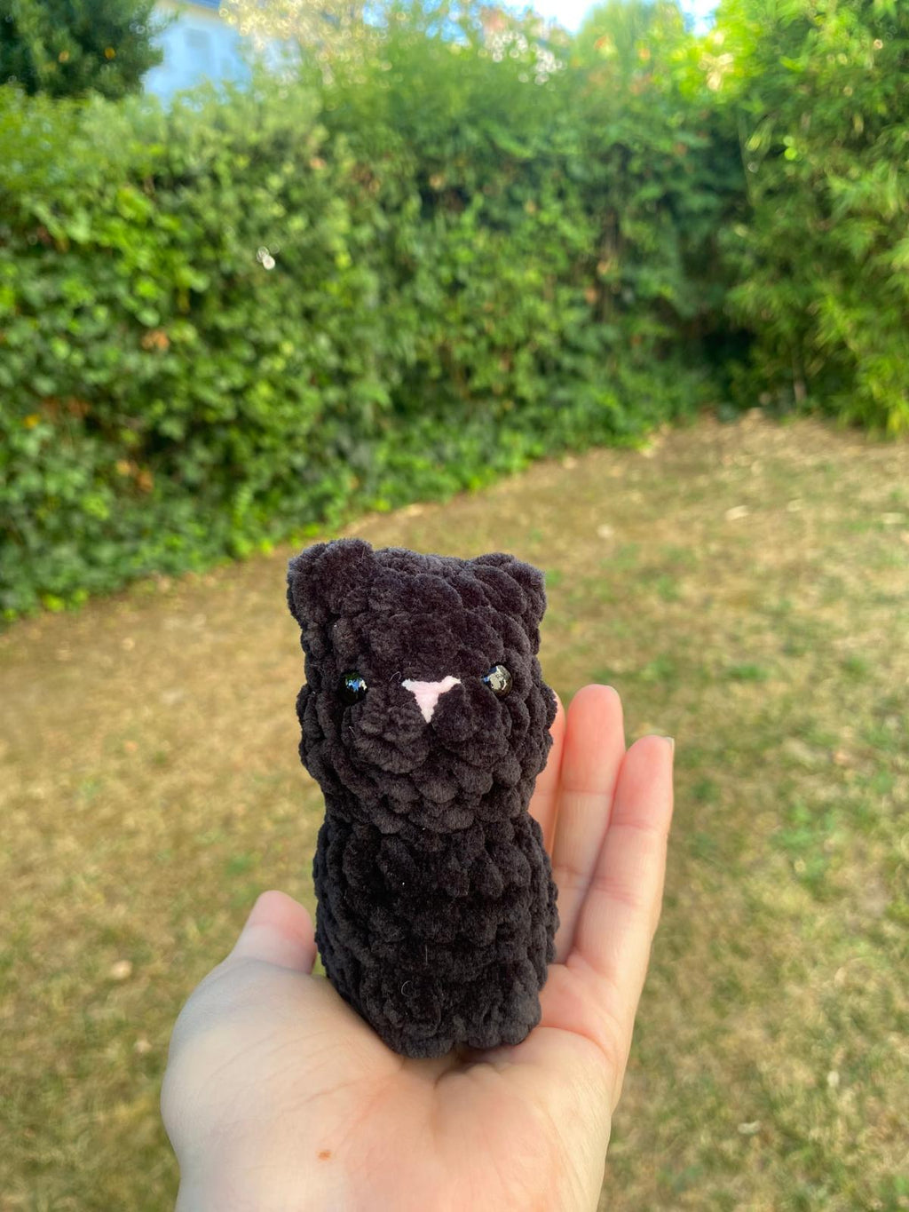 Mini chats 🐈