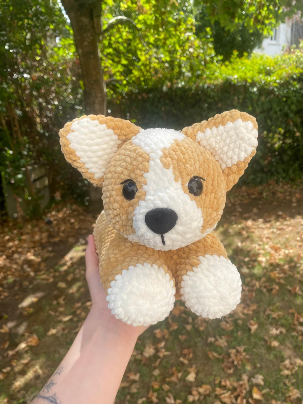 Corgi 🐕