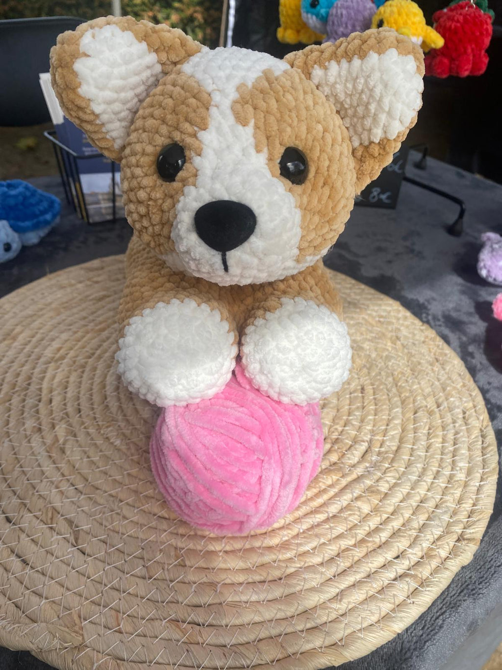 Corgi 🐕
